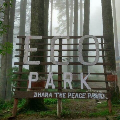 WhatsApp Image 2021-05-19 at 1.38.10 PM (6)