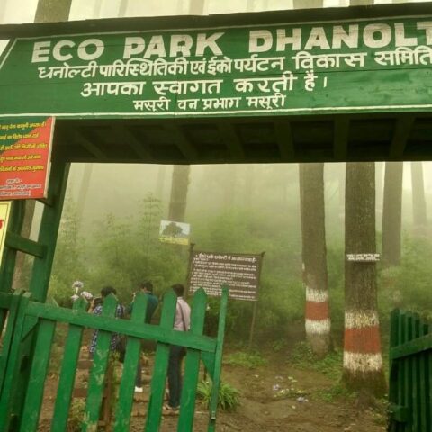 WhatsApp Image 2021-05-19 at 1.38.10 PM (7)