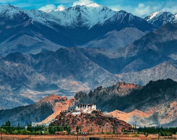 WhatsApp-Image-2021-05-29-at-3.20.55-PM