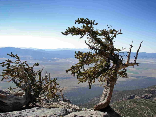 new-hampshire-113757_1280