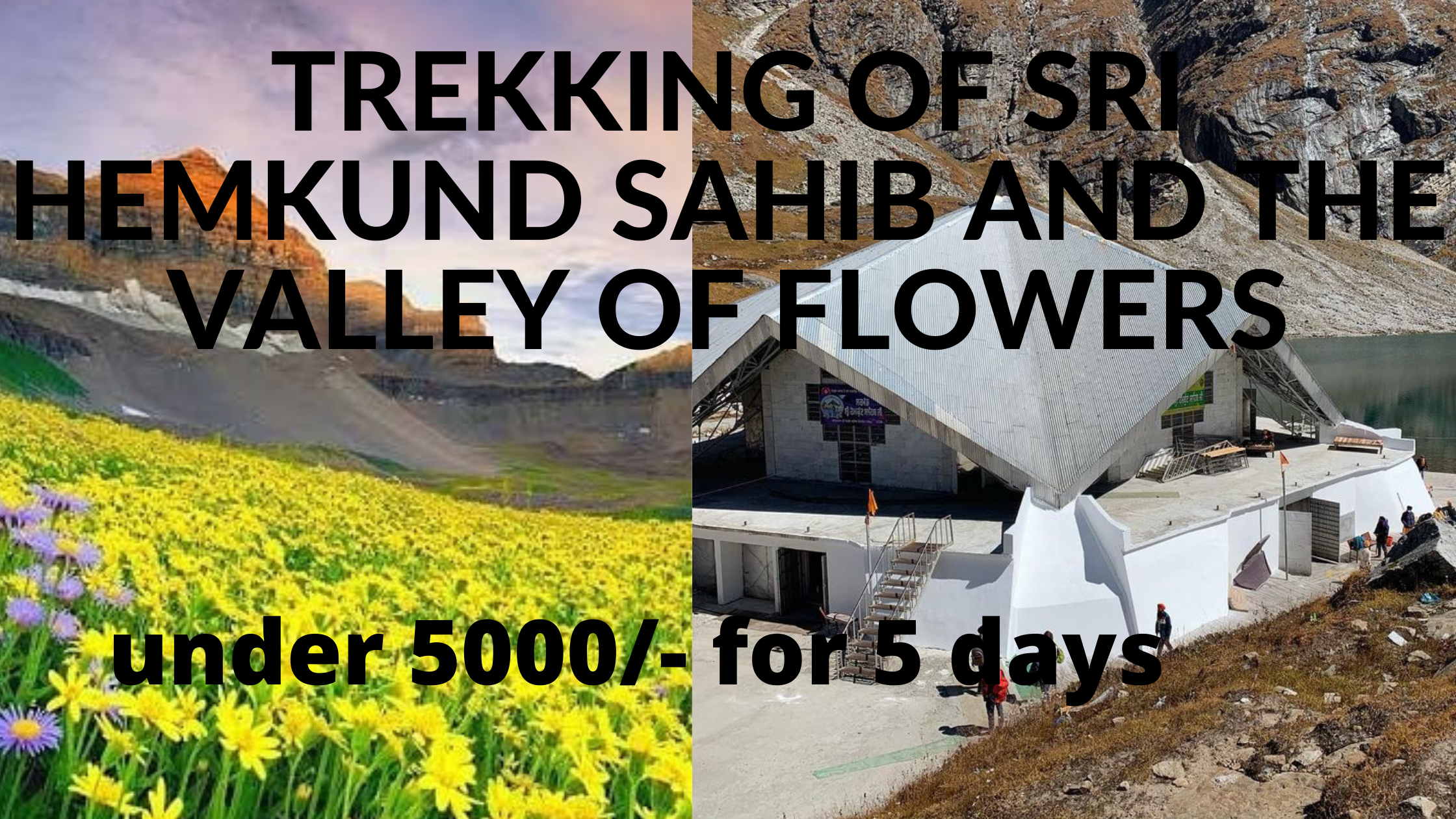Valley of flowers