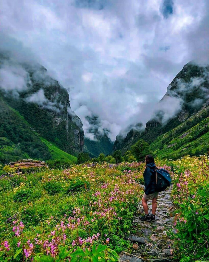 Valley of flowers