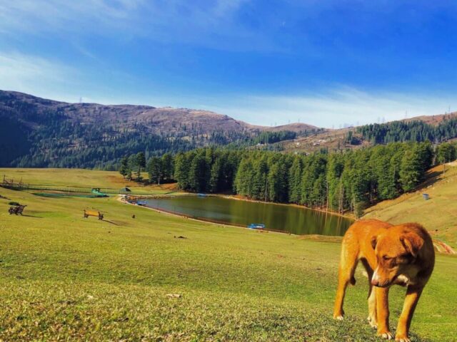 instagram_1626611883077