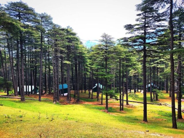 instagram_1626663336748