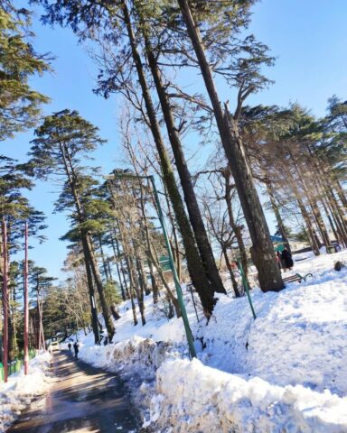 instagram_1626663414587