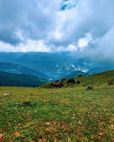 instagram_1626663445047