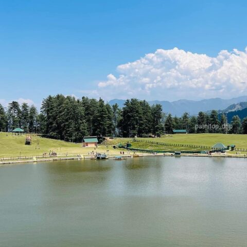 instagram_1626663799410