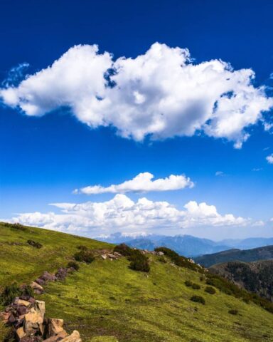 instagram_1626663970626