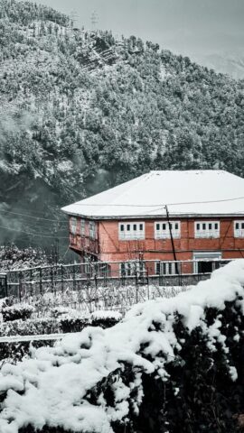 patnitop-5888885_1920